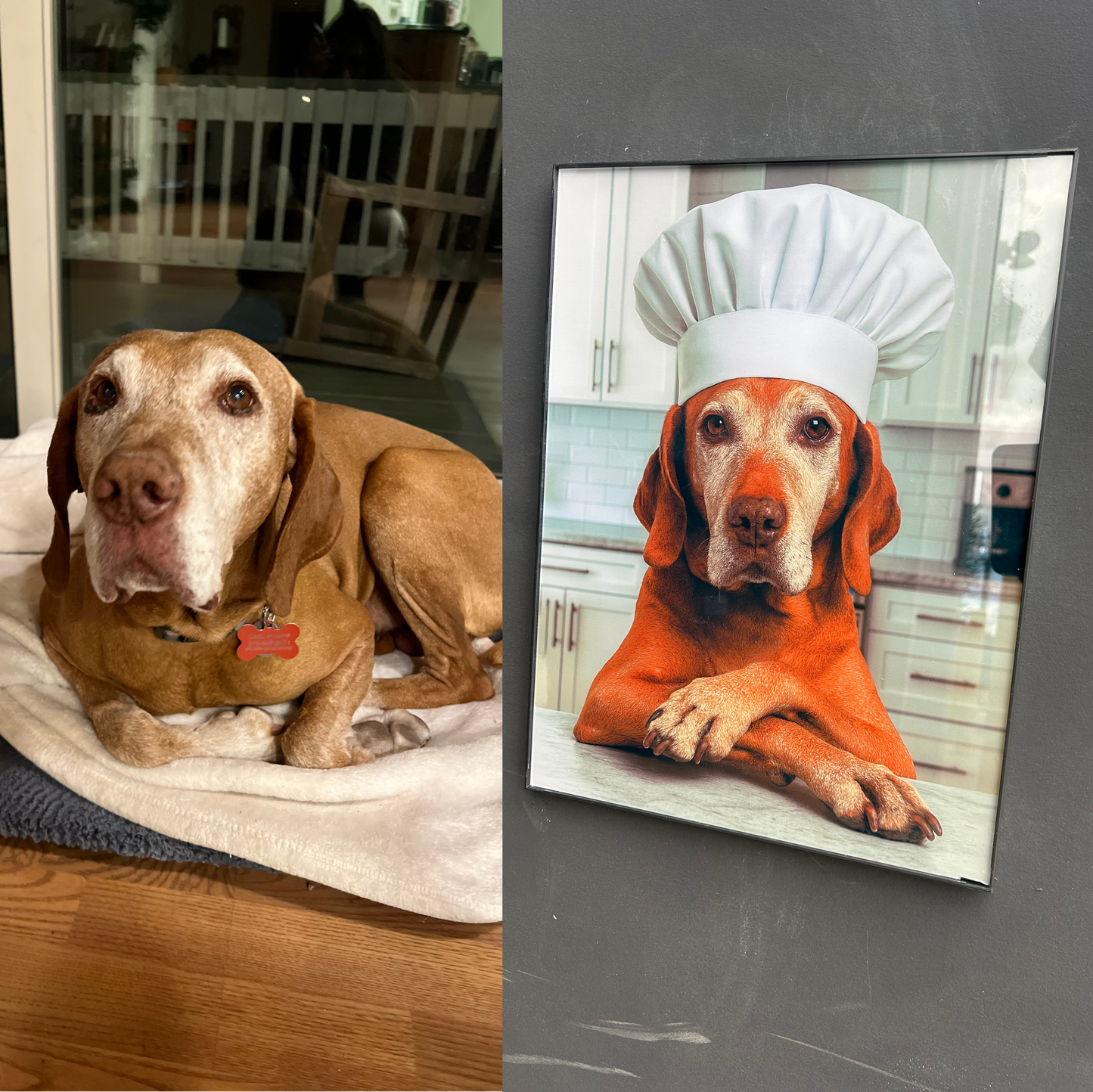 Turn Your Pet Into a Stunning Custom Portrait on Glass